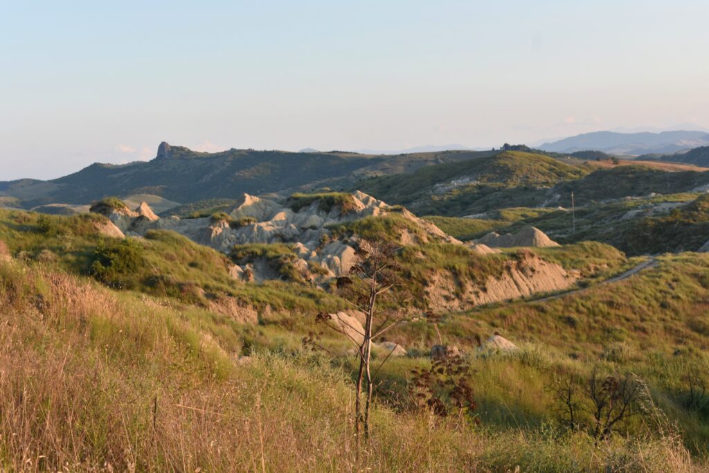 Small clay hills slightly covered with partially dried grass.