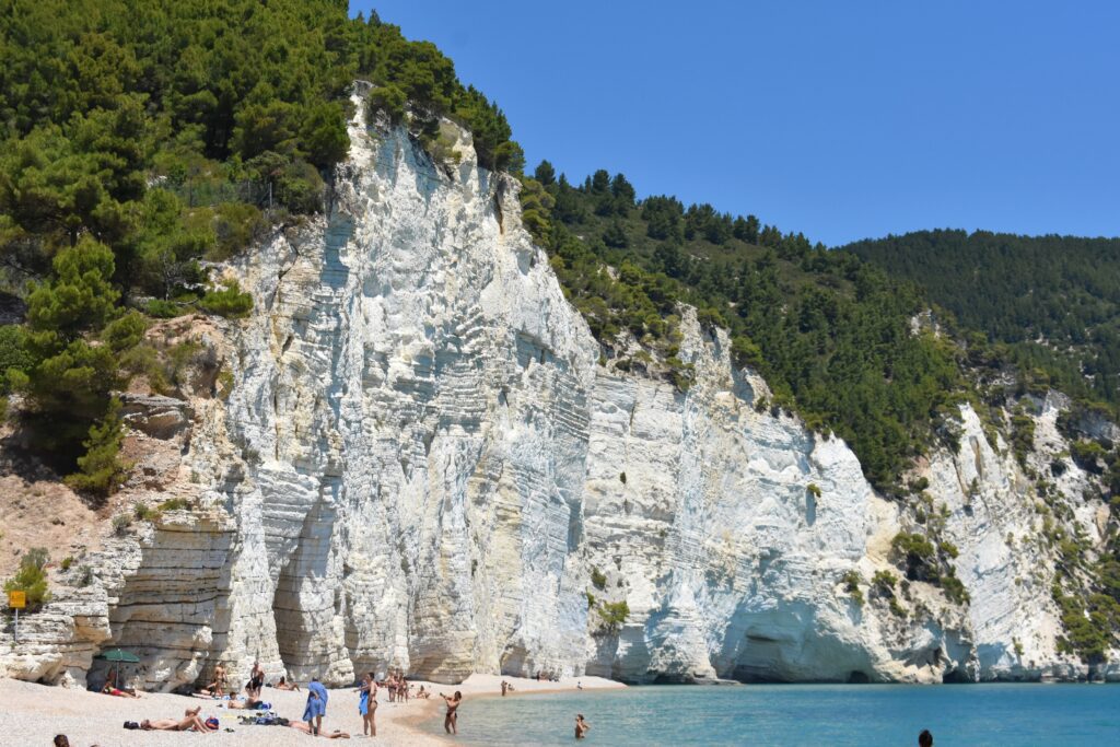 white cliffs overgrown with trees are standing over the beach.