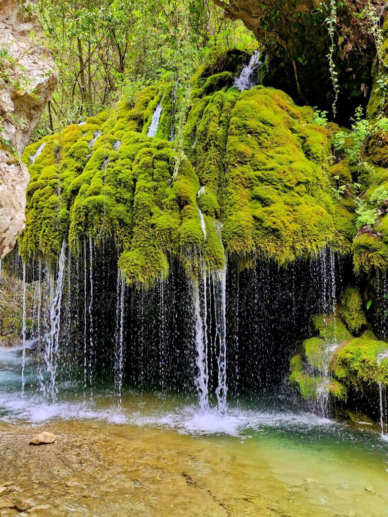 Streams of water flow down from the green ferns growing on the rock wall, creating a waterfall that falls into the blue river.
