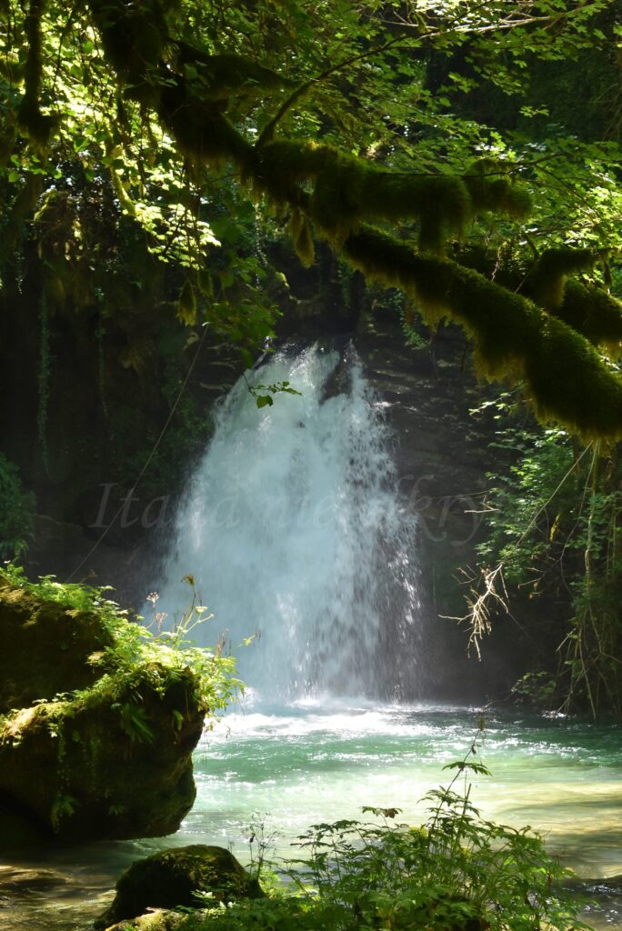 A small waterfall flows down a small mountain, with trees growing around it and a large rock lying in front of it.