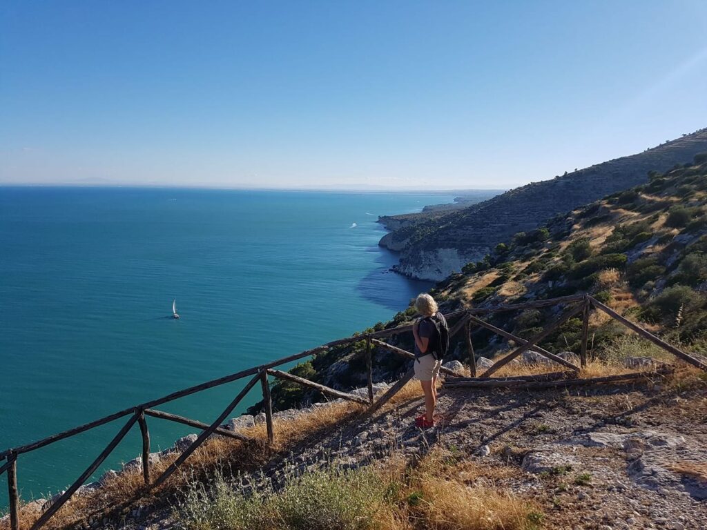 Monte saraceno