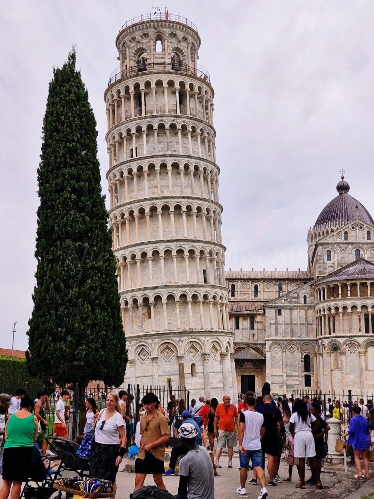 A tall, white leaning tower stands against the background of the cathedral, on one side there is a tall tree, and behind the tower there is a crowd of people spending a weekend break in Tuscany