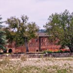 A red brick building with trees growing around it.