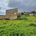 The ruins of a stone building stand on green grass among yellow flowers.