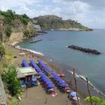 Blue umbrellas on a beach with dark sand above the blue sea, with trees growing on the shore.