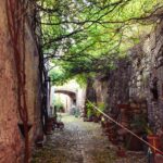 A path between two brick walls, above it grow green grape leaves.
