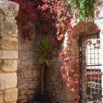 The corner wall is made of reddish bricks and is covered with red leaves.