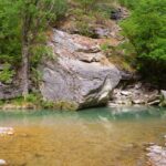 A large boulder lies in the greenish water of the river.