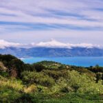 panoramic view of the sea with mountains covered with plants.