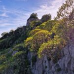 A rocky mountain somewhat overgrown with plants. On it stands a round tower.