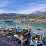 small colorful fishing boats stand moored to the stone shore, behind them you can see fields and hills covered with plants.