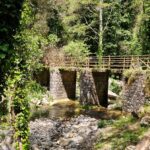A wooden bridge on stone pillars stands among the greenery above a river in which large stones lie