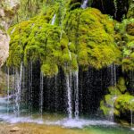 Streams of water flow down from the green ferns growing on the rock wall, creating a waterfall that falls into the blue river.