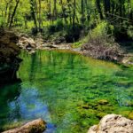 Blue-green water in the river.
