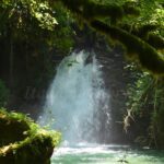 A small waterfall flows down a small mountain, with trees growing around it and a large rock lying in front of it.