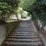 The stairs are made of stone, with low stone walls on the sides and green trees growing there.